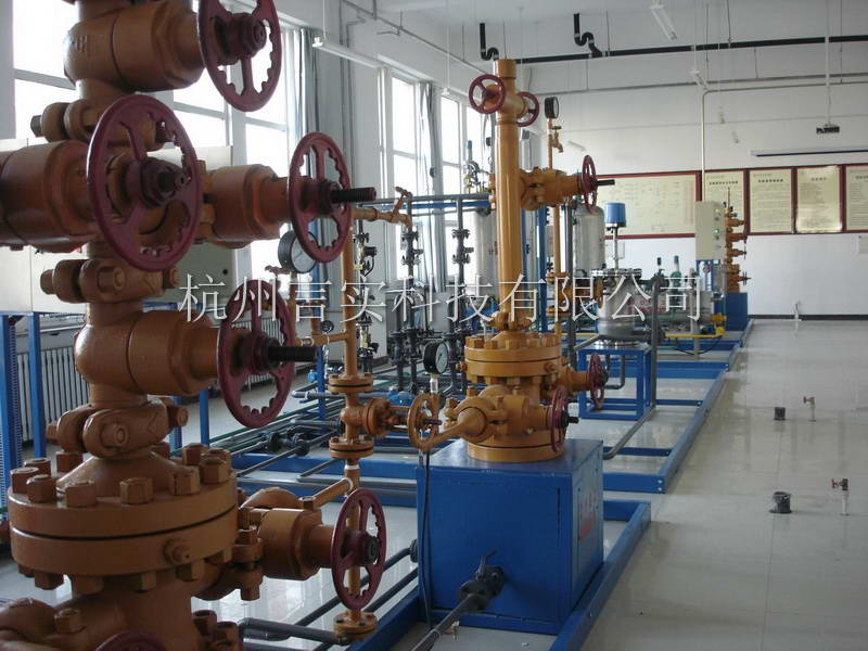  成功案例 w66集团