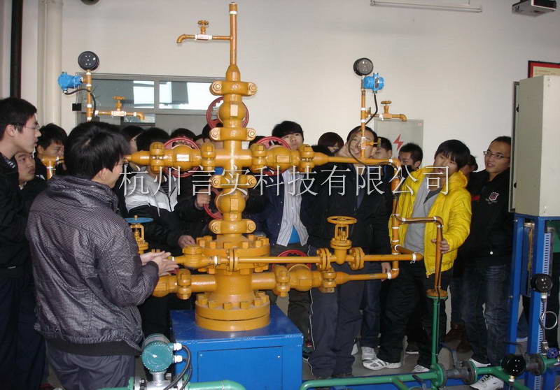  成功案例 w66集团